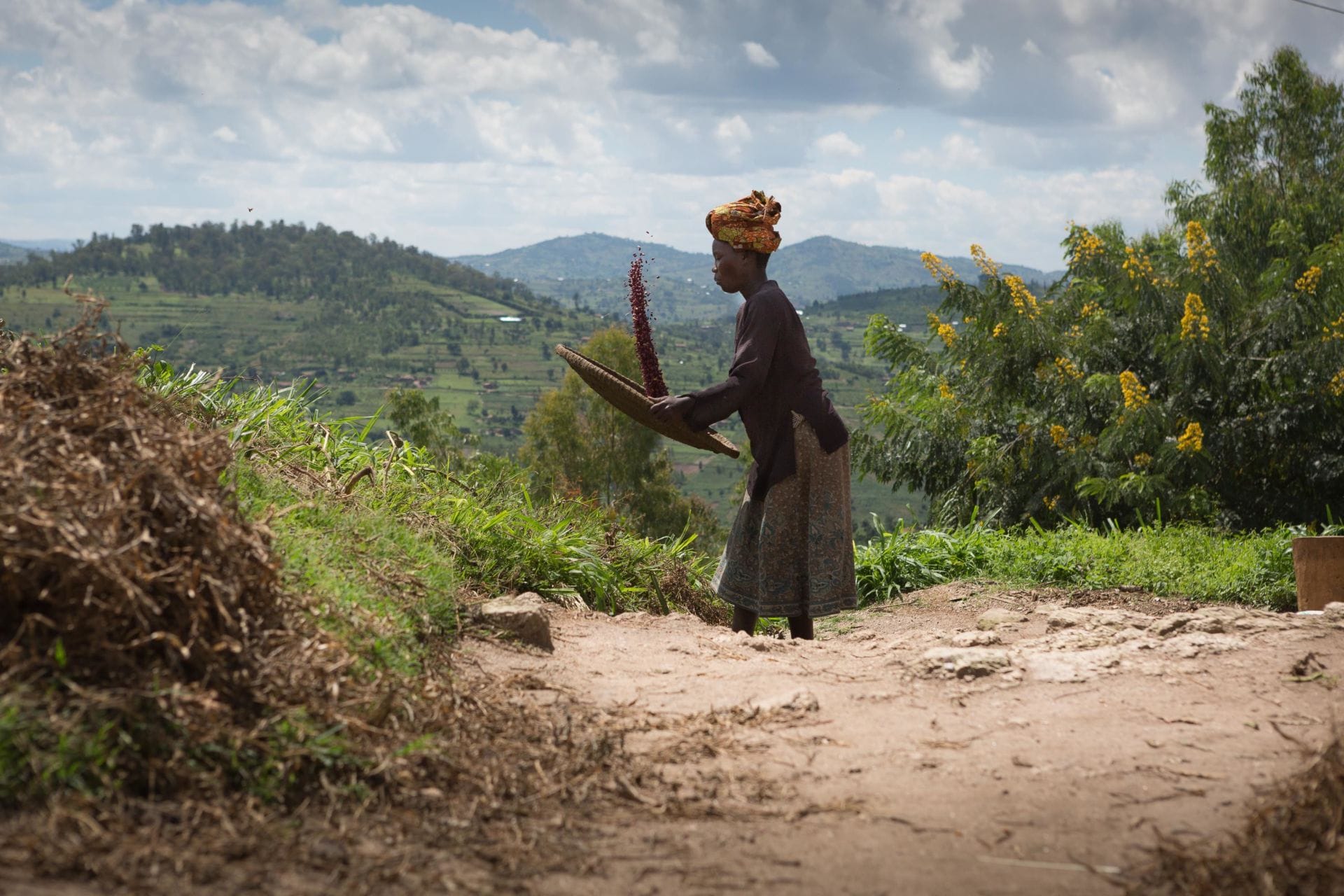 What Benefitting 110,000 Farmers Looks Like