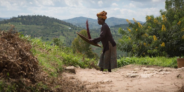 What Benefitting 110,000 Farmers Looks Like