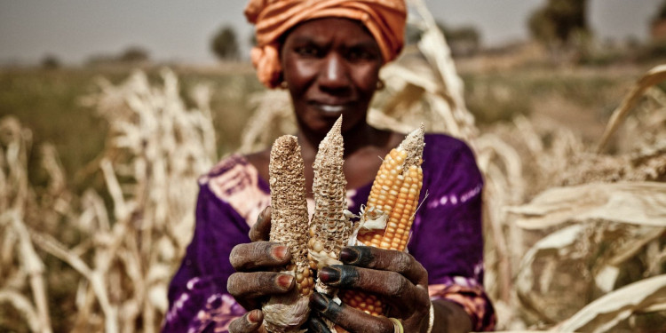 Sahel Food Crisis