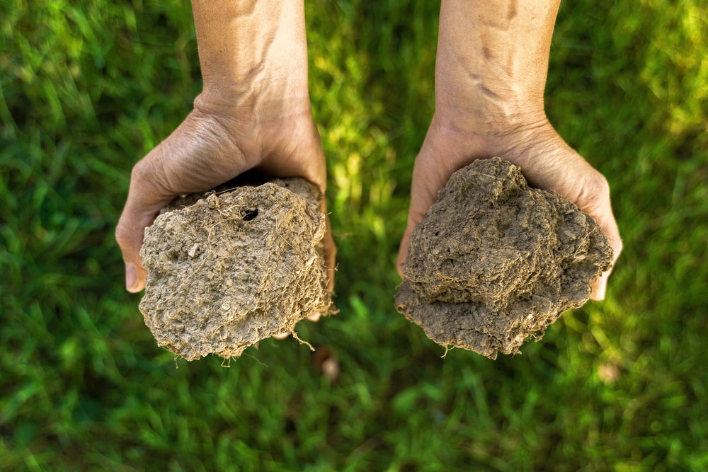 Soil Health Is Key Component of Healthy Food System, Says Jeff Tkach of Rodale Institute