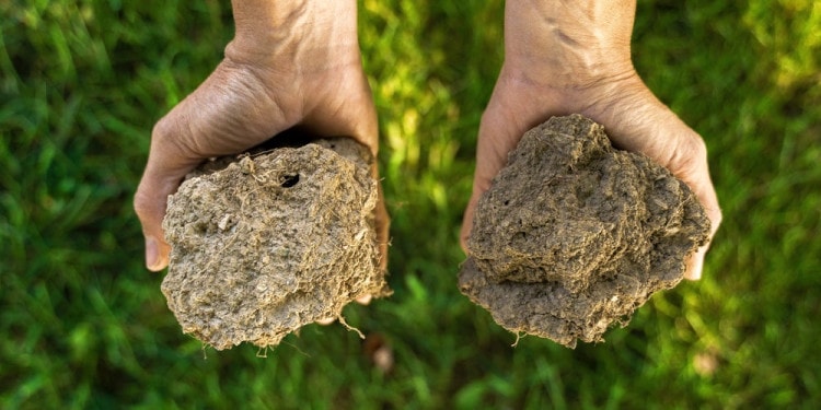 Soil Health Is Key Component of Healthy Food System, Says Jeff Tkach of Rodale Institute