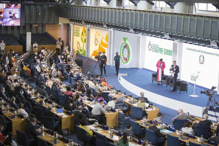 UNFSS pre-Summit