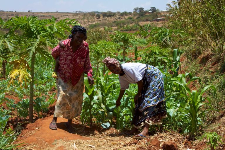 Small holder farmers in Kenya