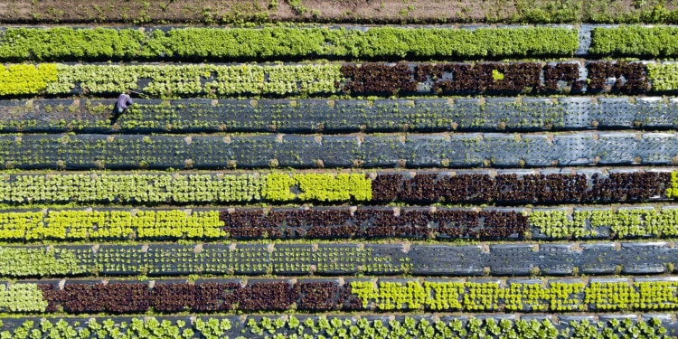 How Local Governments Can Put Food on the Table: An Interview with Peter Defranceschi