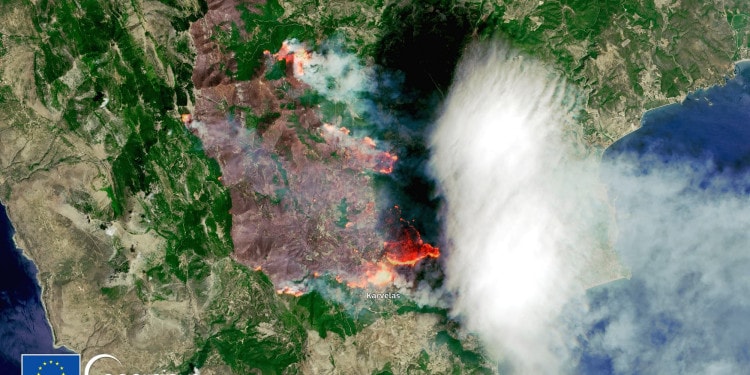 These Pictures Show Wildfires Around The World, And It Is Worse Than You Think