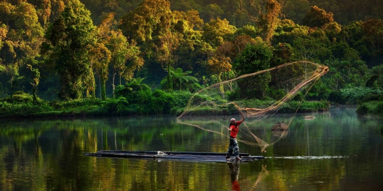 How Emerging Economies Can Pursue Green Recoveries