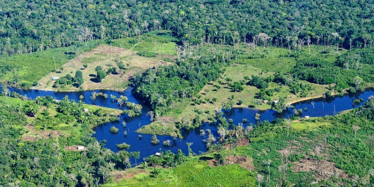 Bolsonaro’s Proposed Ferrograo Railway Threatens the Amazon