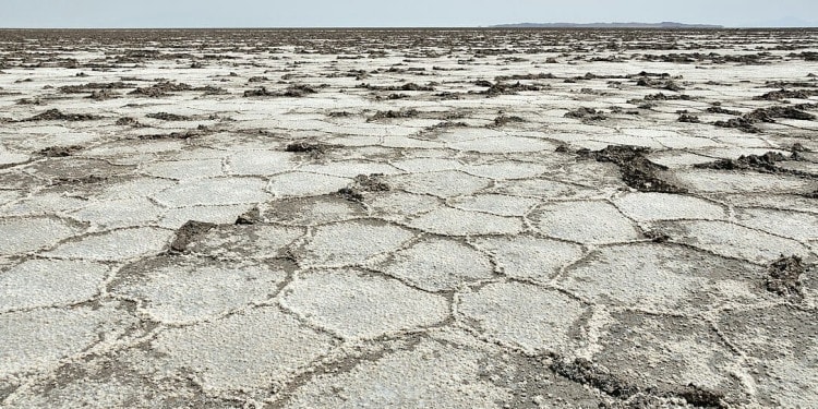 Severe Droughts, Record Heatwaves and Water Mismanagement Result in Deadly Riots in Iran