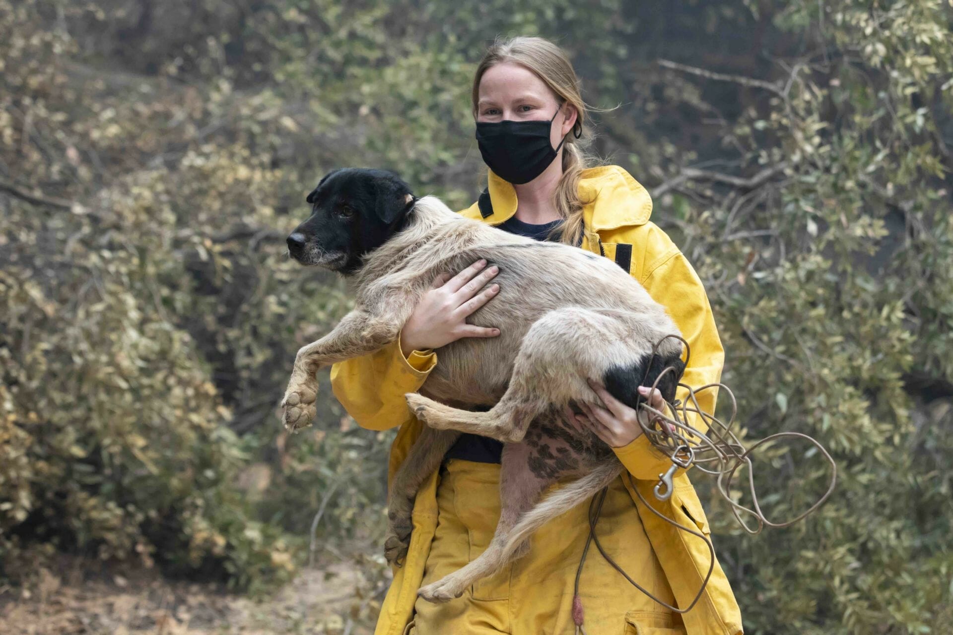 Jennifer Gardner Rescuing Animals Threatened by Natural Disasters