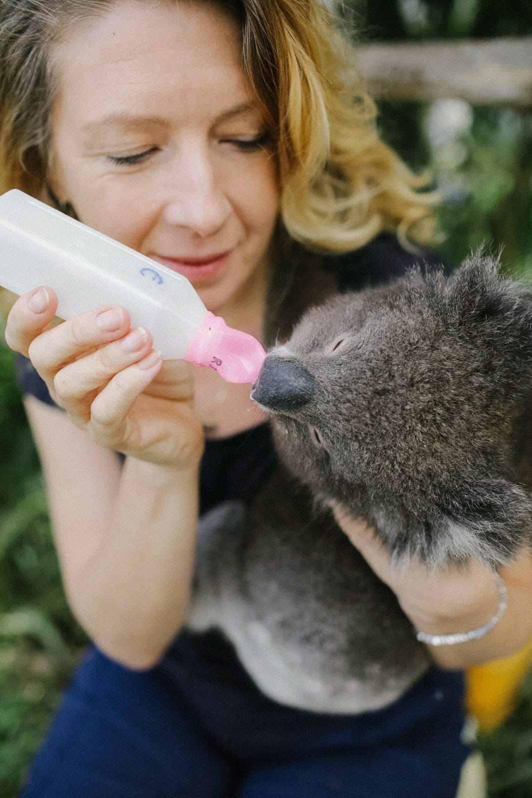 Josey Sharrad, Wildlife Campaigner, Protecting Australia’s Animals