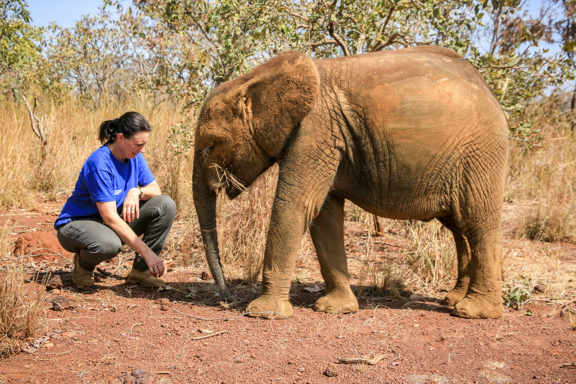 Celine Sissler-Bienvenu, a Devoted Woman in Conservation