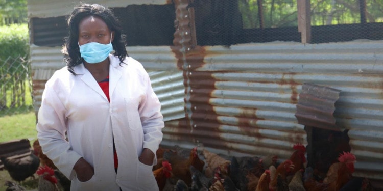 Gender-Based Violence Survivor Launches Thriving Poultry Business in Kenya