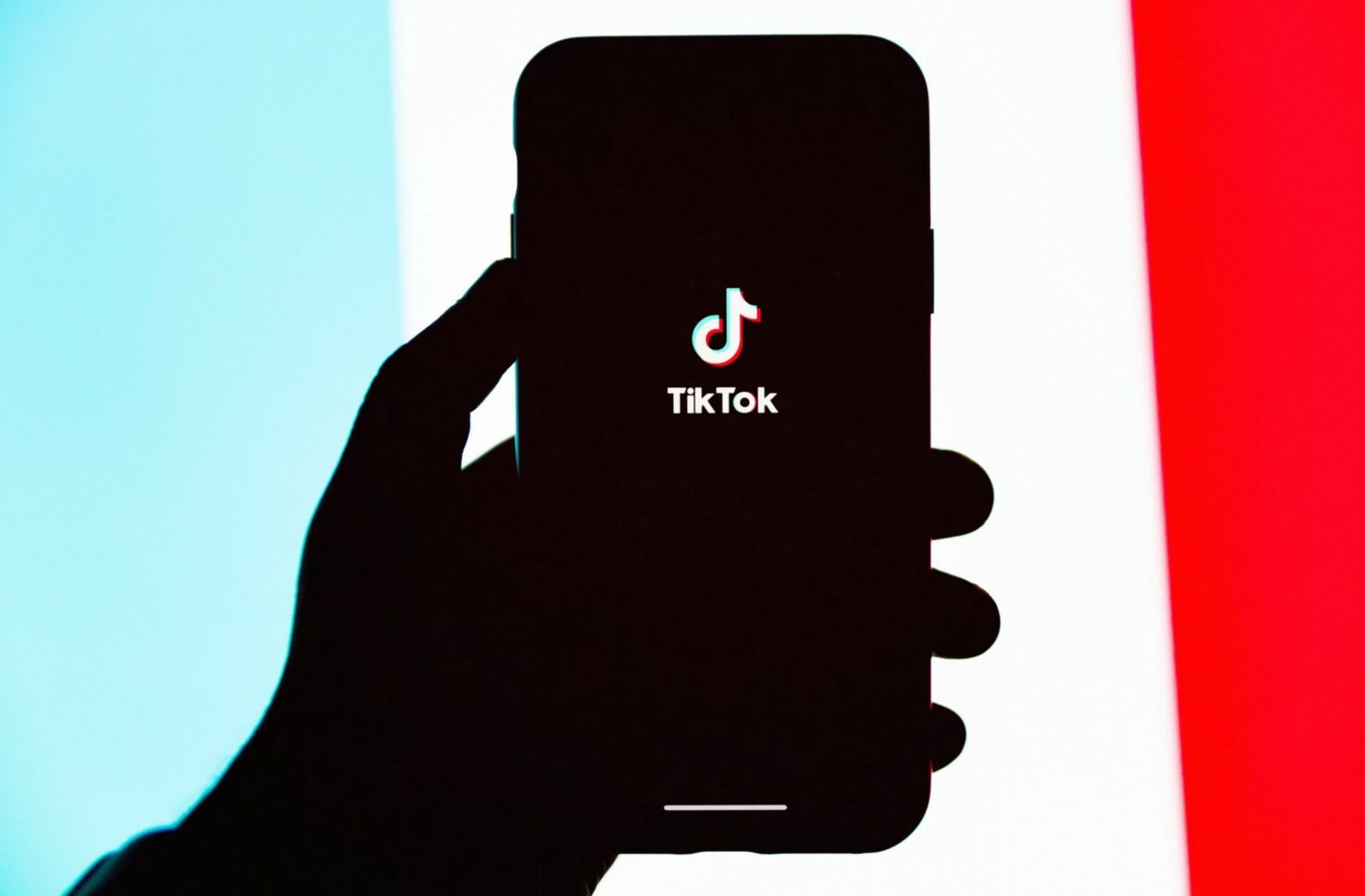 TikTok Logo