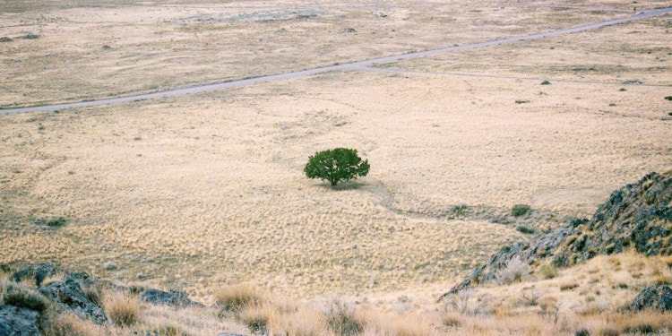 Colorado River Water Shortage Declared: Climate Change to Blame?