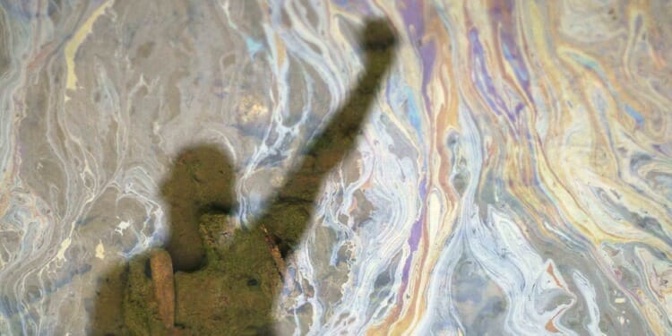 Half a Century Later Justice Is Delivered for Oil Spill Devastation