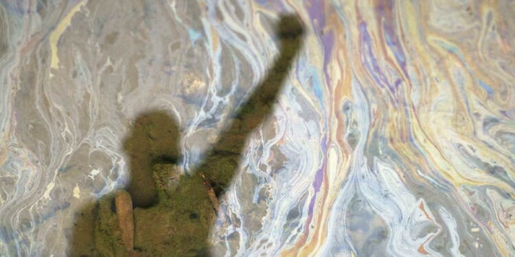 Half a Century Later Justice Is Delivered for Oil Spill Devastation