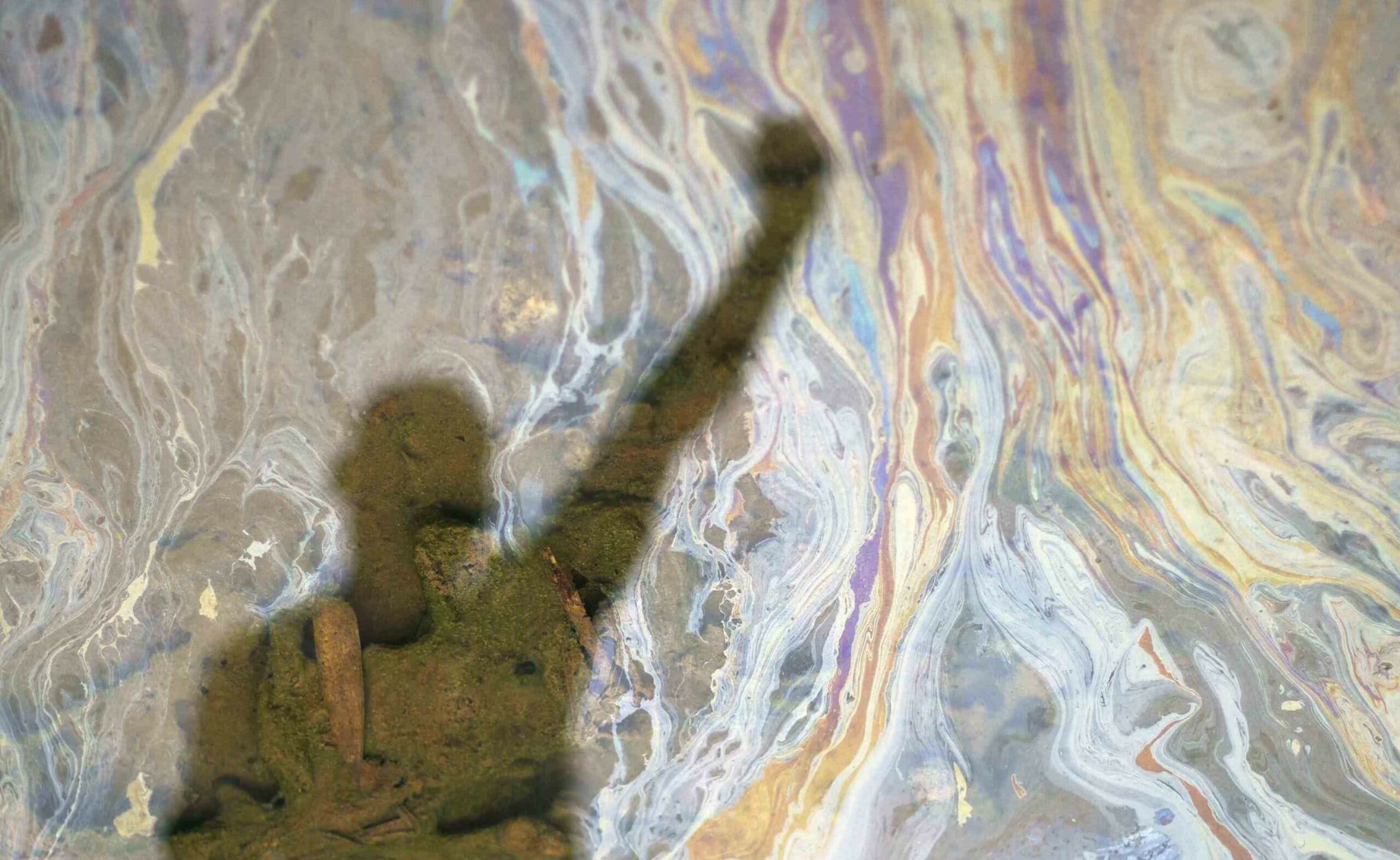 Half a Century Later Justice Is Delivered for Oil Spill Devastation