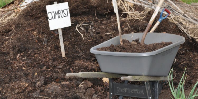 How to Conquer Composting