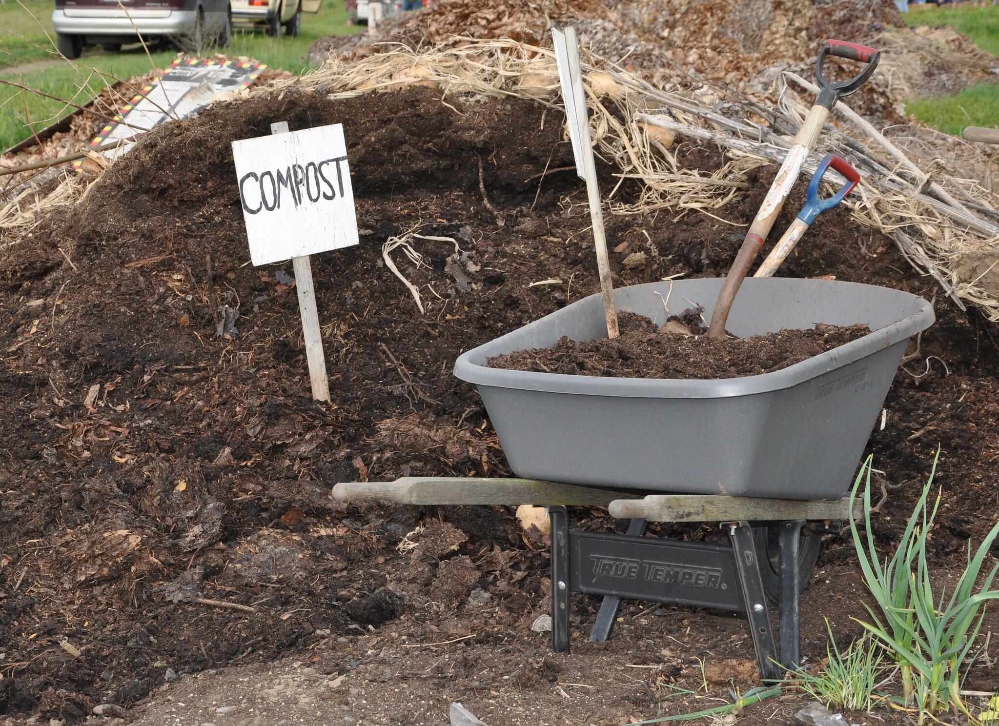 How to Conquer Composting