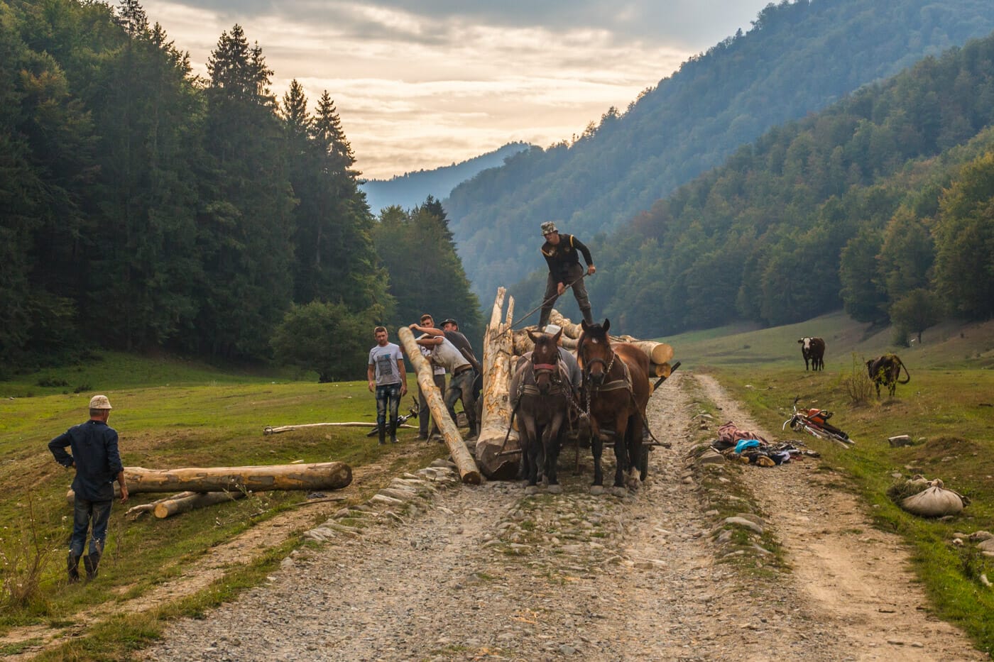 Romanian Forests, the Heartland of Europe’s Biodiversity, At Risk