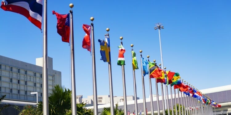 UNIDO Forum Engages With Pressing Pandemic Questions