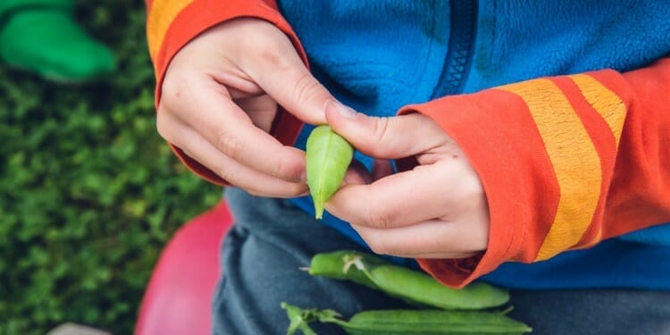 How to to Get Your Kids Excited about Vegetarian Food