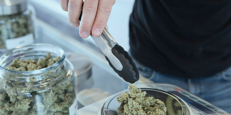 recreational marijuana cannabis