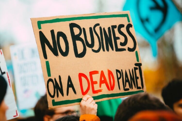 Cardboard Sign