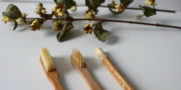 First Steps to a Zero-Waste Beauty Routine