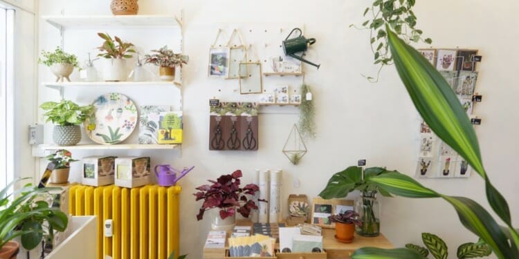 5 Air-Purifying Houseplants to Improve Air Quality