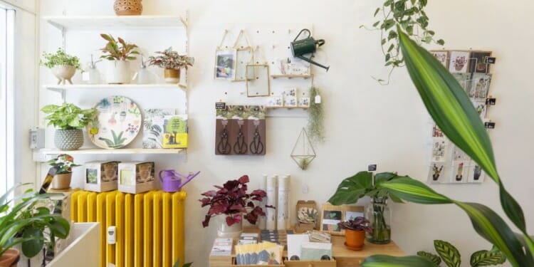 5 Air-Purifying Houseplants to Improve Air Quality