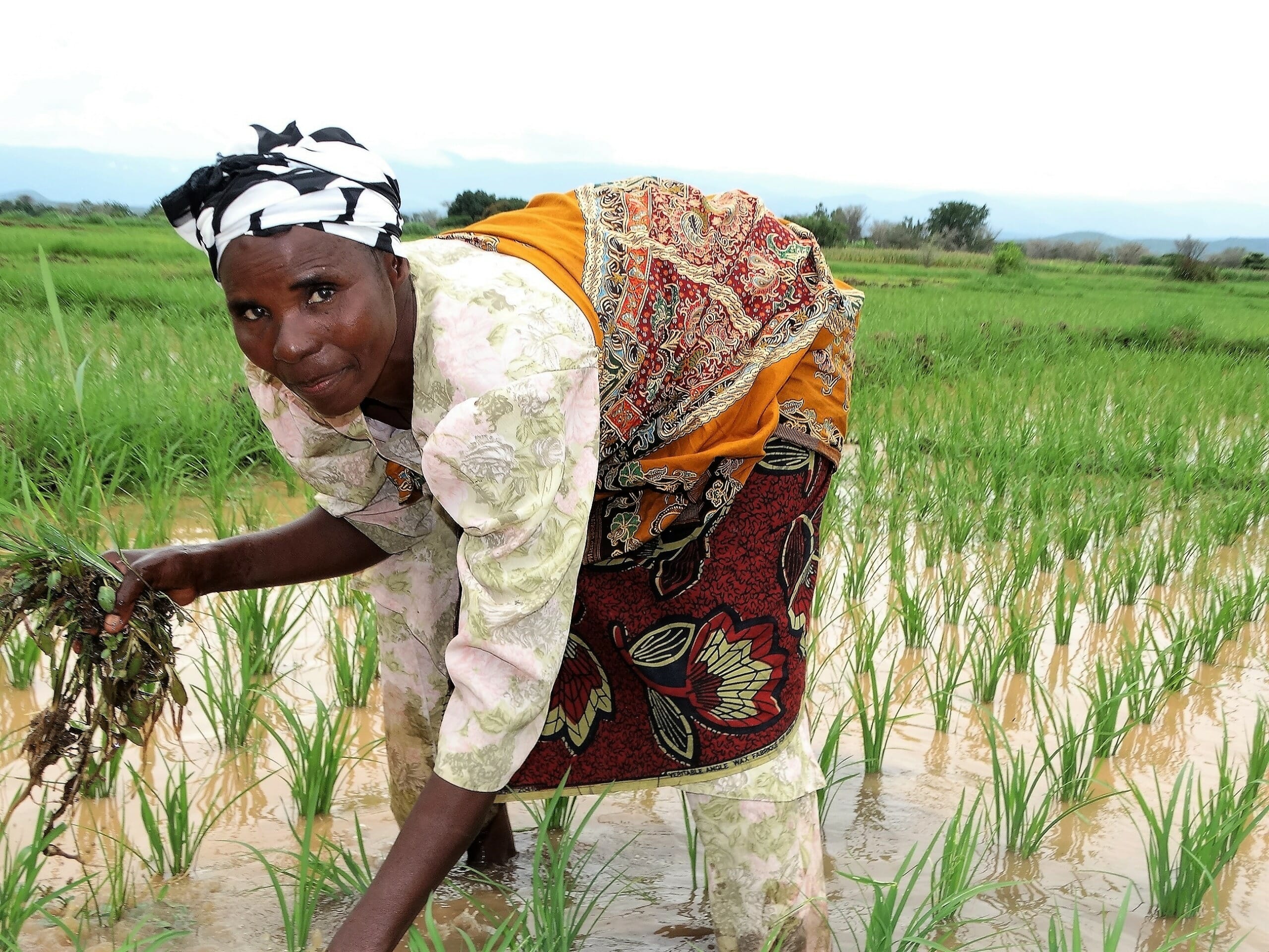 Reimagining Generational Gaps to Transform Africa’s Agri-food Systems