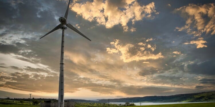 UK Environmental Agency Says ‘Adapt or Die’ Ahead of COP26