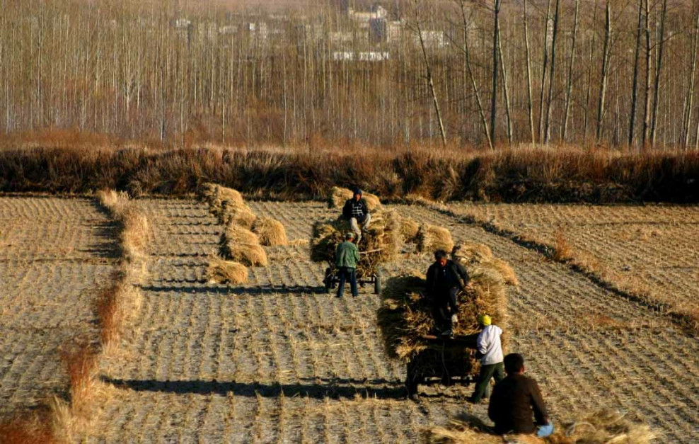 china harvest common prosperity
