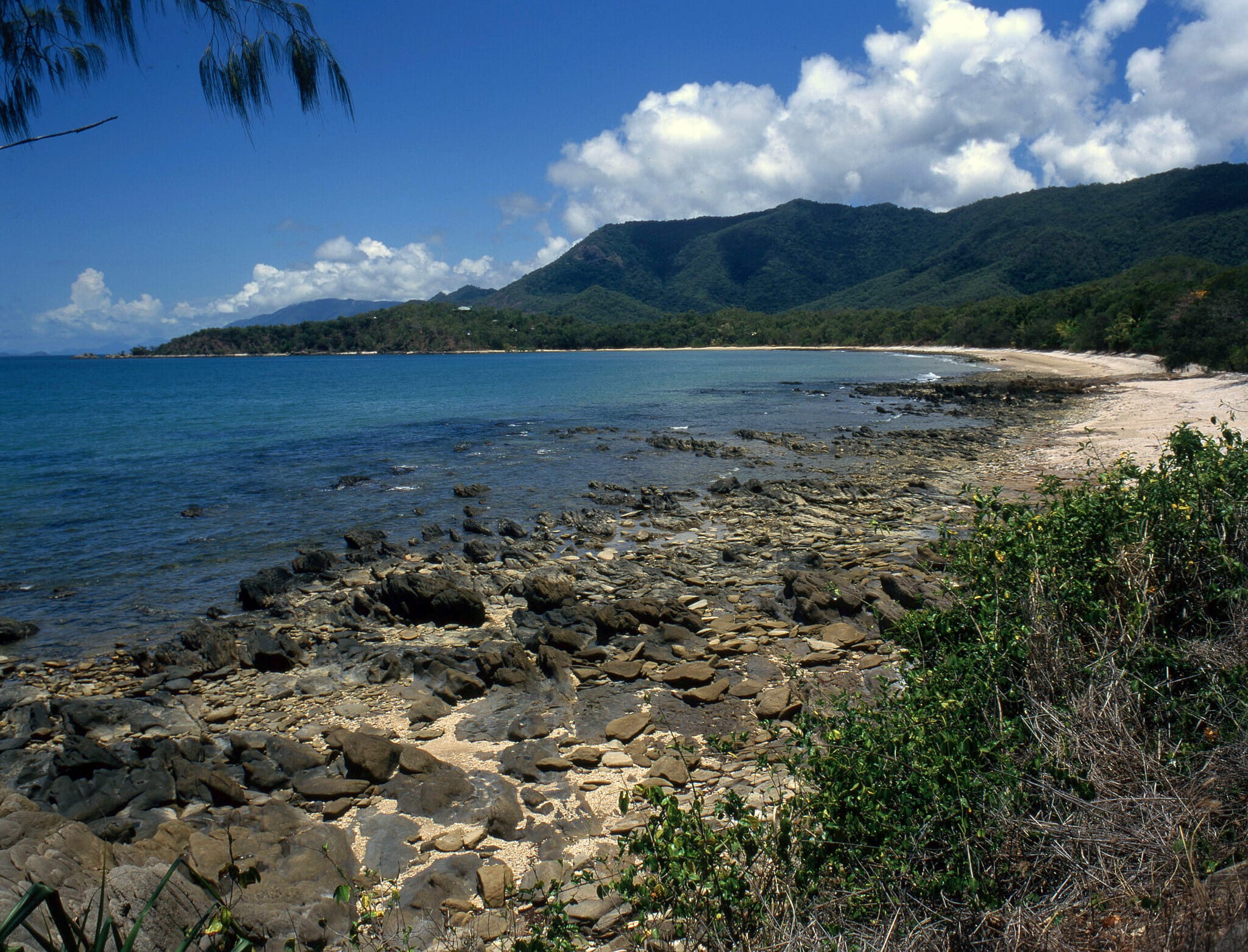 World’s Oldest Tropical Rainforest Handed Back To Original Indigenous Custodians 
