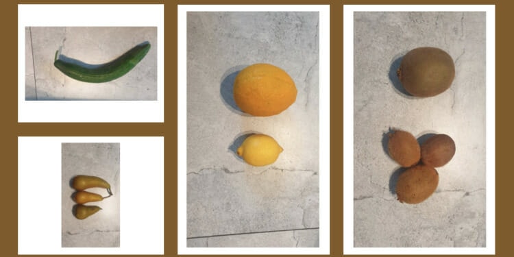 What Being a Conscious Consumer Really Looks Like