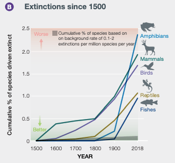 A screenshot of an infographic to demonstrate the cumulative % of species driven exctinct