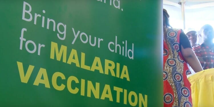 WHO Approves Malaria Vaccine in Scientific Breakthrough