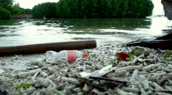 Art as a Driver for Change: The Plastic Museum in Indonesia