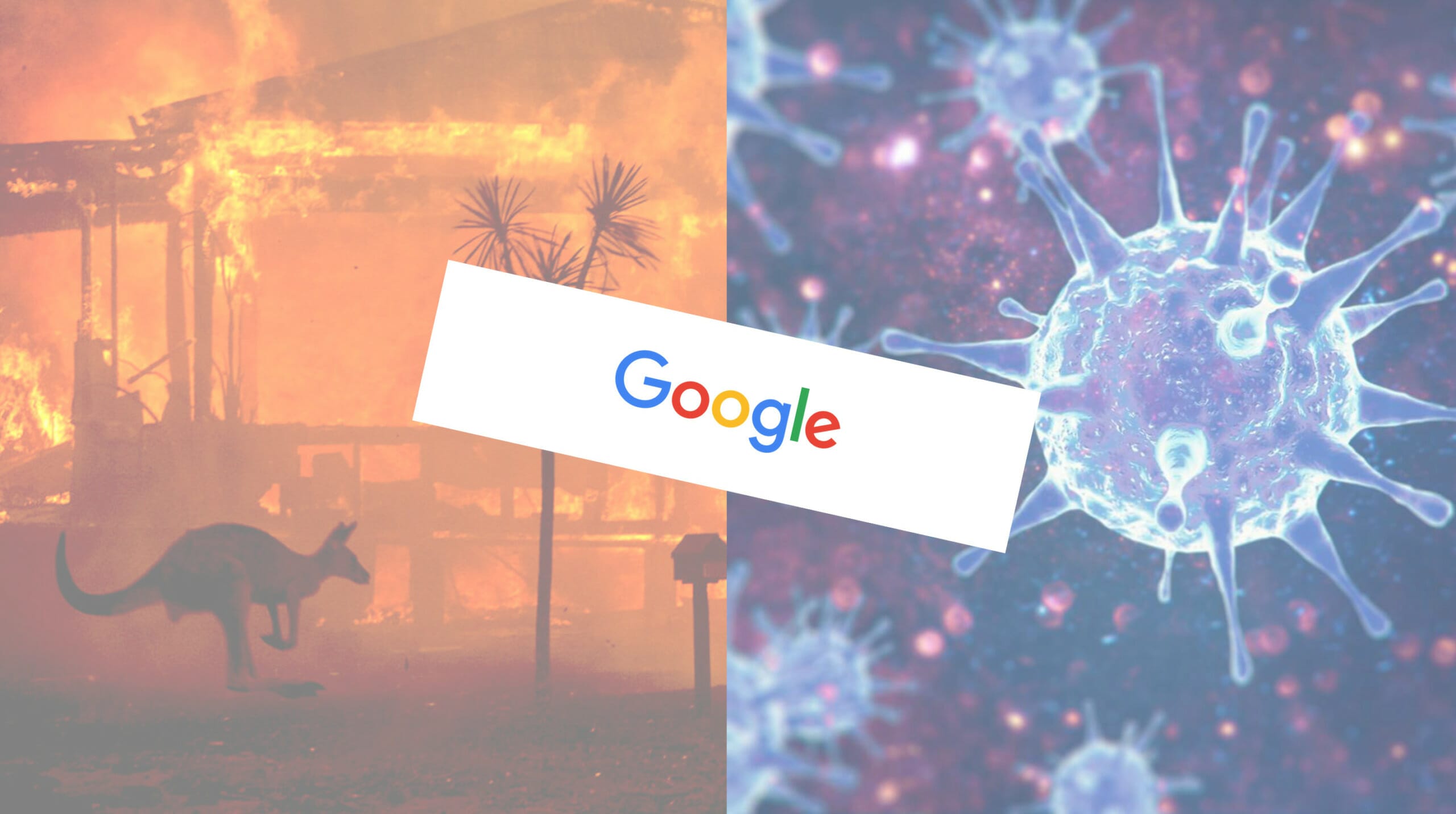 False Climate News in Ads Are Banned by Google