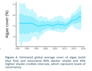 Chart, line chart describing the algae cover in reefs