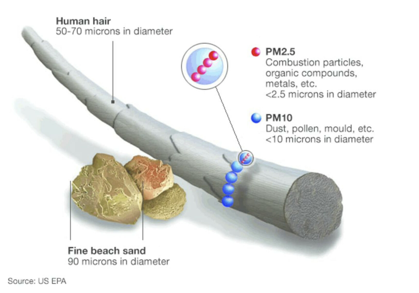 particulate matter
