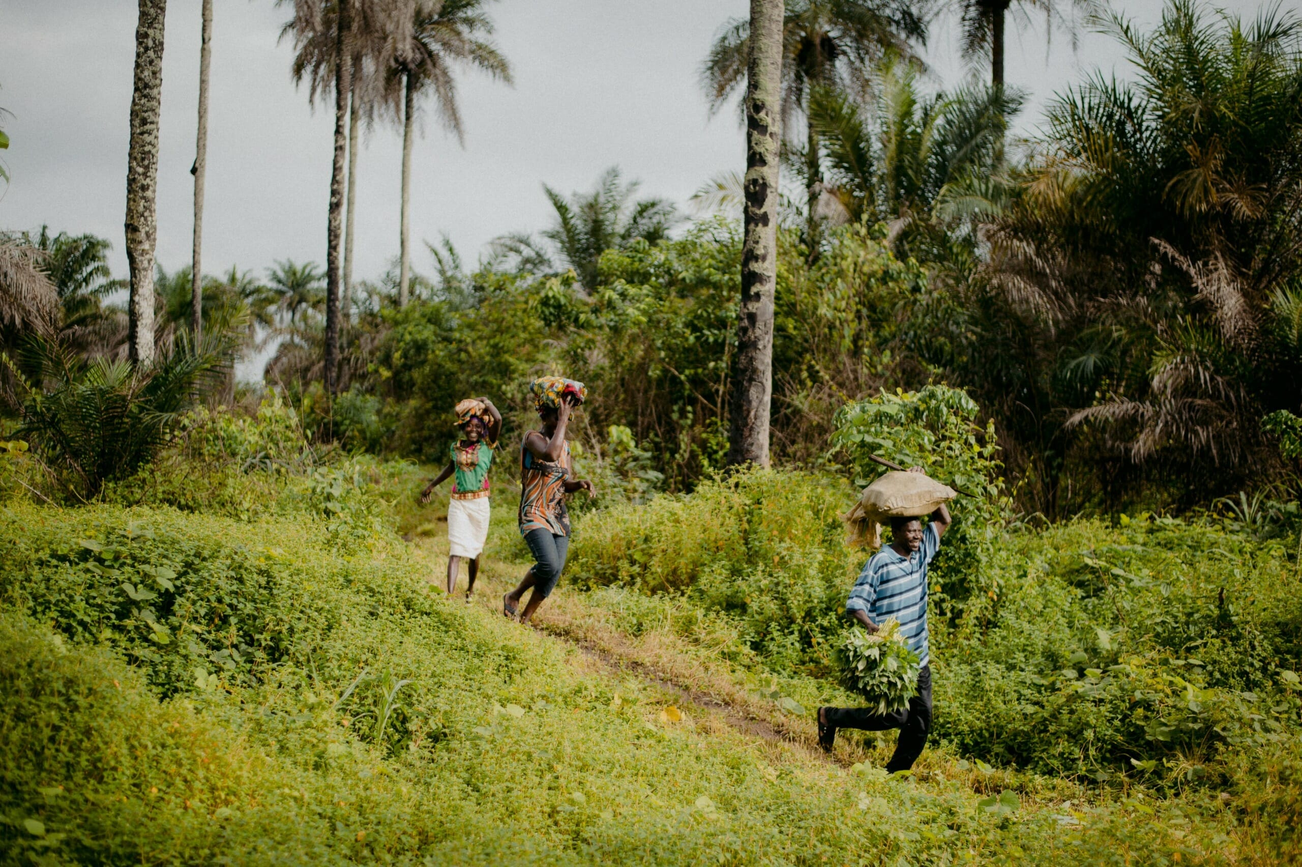 Cameroon’s Refugees Don’t Strain the Environment, They Sustain It