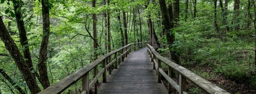 DeepH, The New App To Help Your Mental & Physical Health