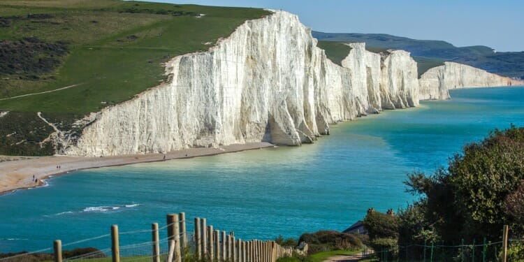 Coastal Cleanup: An Interview with @warm_norm