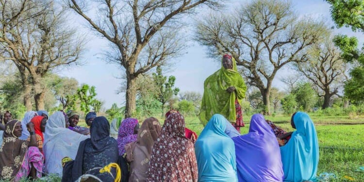 Reimagining Generational Gaps to Transform Africa’s Agri-food Systems (Part II)