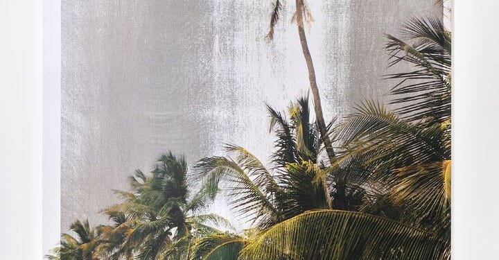 ‘We Are History’: Climate Change Through Global Art