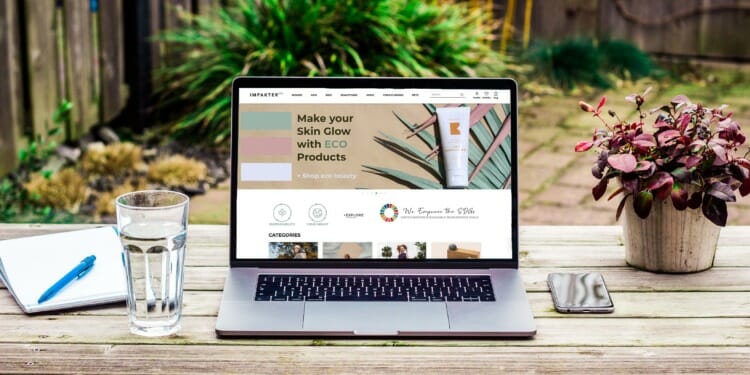 How Does The Impakter Eco Marketplace Choose Its Brands?