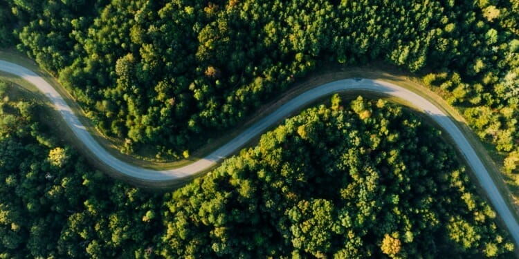 The Road To Net Zero: A Guide To The Carbon Offset Ecosystem