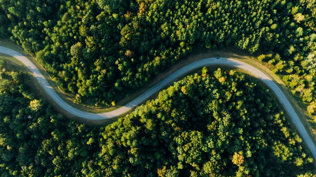 The Road To Net Zero: A Guide To The Carbon Offset Ecosystem
